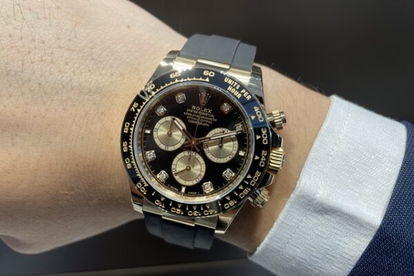 コンデションの良い個体入荷